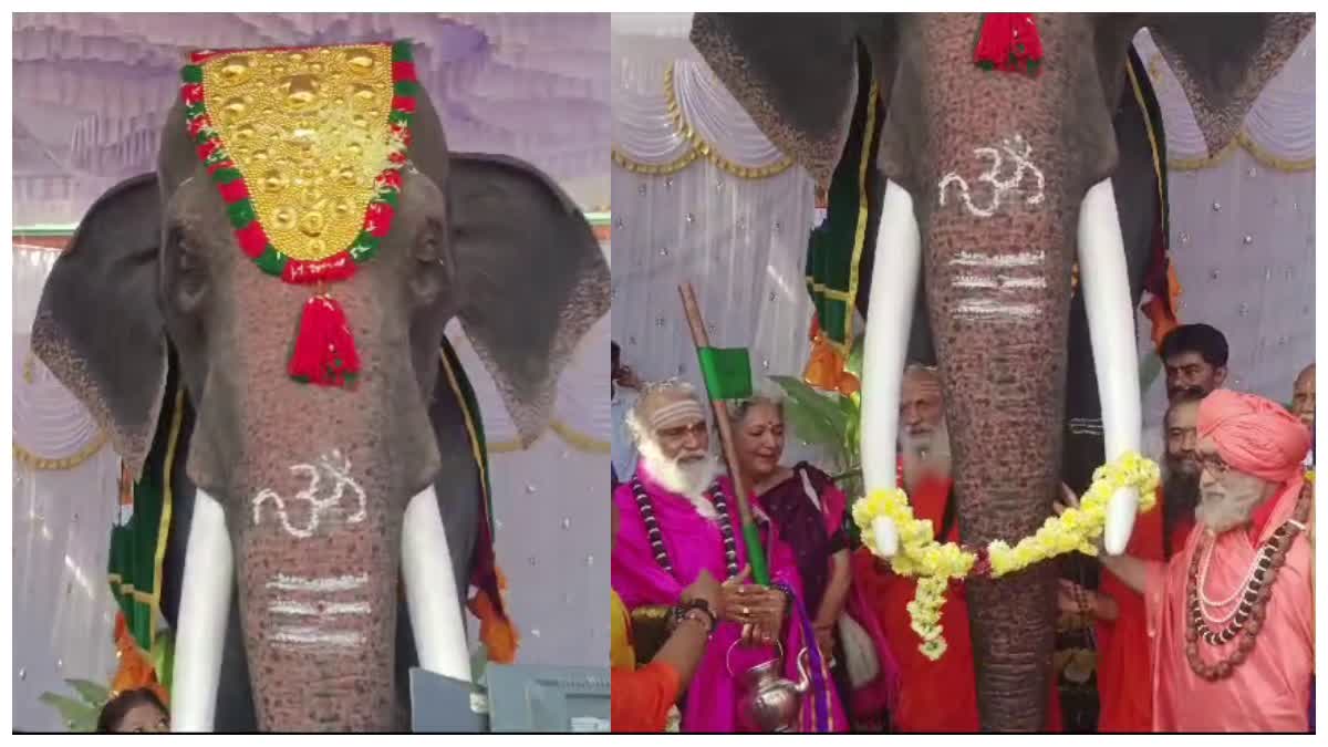 ರೋಬೋಟಿಕ್ ಆನೆ ಕೊಡುಗೆ ನೀಡಿದ ಬಾಲಿವುಡ್​ ನಟಿ ಶಿಲ್ಪಾ ಶೆಟ್ಟಿ