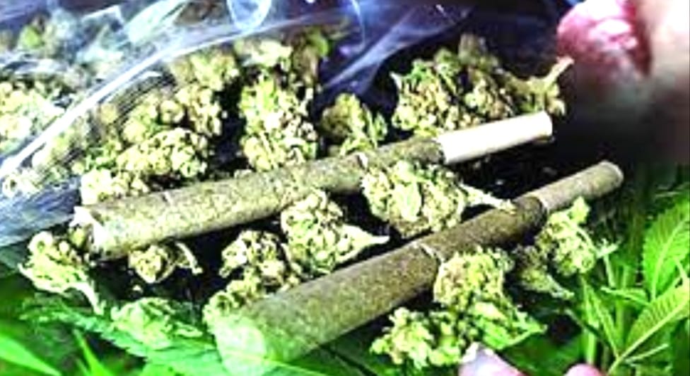 ಶಾಲಾ ಕಾಲೇಜುಗಳಿಗೆ ಗಾಂಜಾ ಪೂರೈಕೆ ಕಳವಳಕಾರಿ
