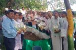 ಅಡಿಕೆಯಲ್ಲಿ ಅಂತರ ಬೆಳೆ ಮಣ್ಣಿನ ಫಲವತ್ತತೆಗೆ ಸಹಕಾರಿ