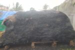 ಆಕಸ್ಮಿಕ ಬೆಂಕಿ: ಹುಲ್ಲಿನ ಬಣವೆ ಭಸ್ಮ, ಆತಂಕದಲ್ಲಿ ರೈತ