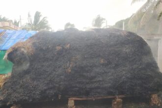 ಆಕಸ್ಮಿಕ ಬೆಂಕಿ: ಹುಲ್ಲಿನ ಬಣವೆ ಭಸ್ಮ, ಆತಂಕದಲ್ಲಿ ರೈತ