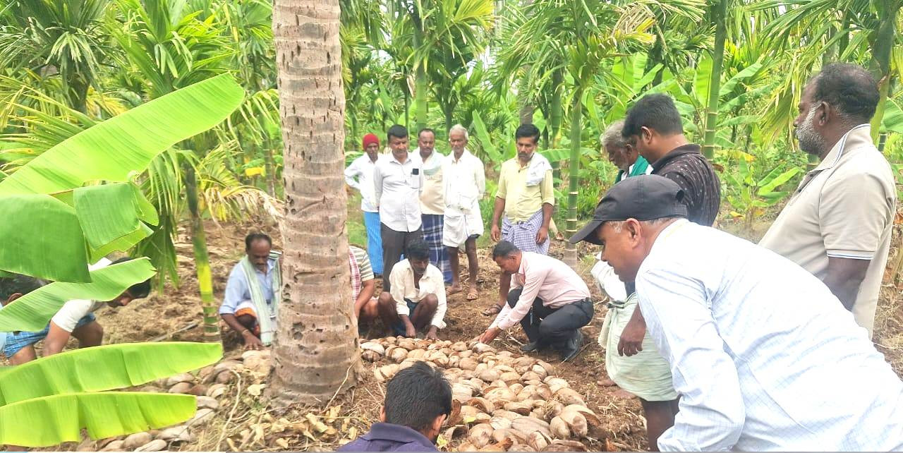 ಅಡಿಕೆ, ತೆಂಗು ಬೆಳೆಗಳಲ್ಲಿ ಬರ ನಿರ್ವಹಣೆ: ರೈತರಿಗೆ ಪ್ರಾಯೋಗಿಕ ತರಬೇತಿ