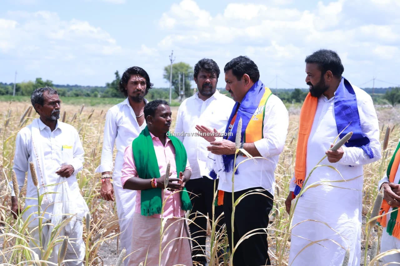 ರೈತರ ನ್ಯಾಯಕ್ಕಾಗಿ ಬಳ್ಳಾರಿ ಚಲೋ ಪಾದಯಾತ್ರೆ: ಬರಪೀಡಿತ ಹೊಲಕ್ಕೆ ಭೇಟಿ ನೀಡಿ ಬಿ.ವೈ. ವಿಜಯೇಂದ್ರ ಸಾಂತ್ವನ 