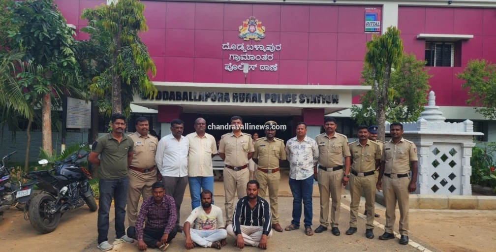 ಅಂತ‌ರ್ ರಾಜ್ಯ ಗಾಂಜಾ ಪೆಡ್ಲರ್ ಗ್ಯಾಂಗ್ ಬಂಧನ