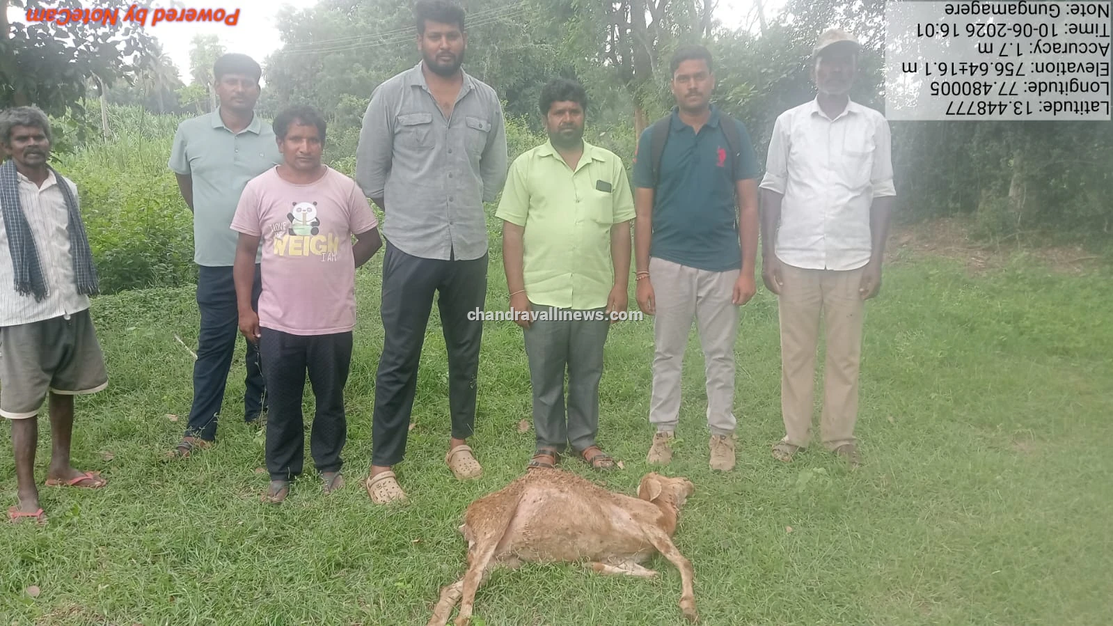 ಕುರಿಗಳ ಮೇಲೆ ಚಿರತೆ ದಾಳಿ