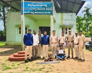 ಗಂಧದ ಮರ ಕಡಿದ ಓರ್ವ ಸೆರೆ: ಇಬ್ಬರು ನಾಪತ್ತೆ