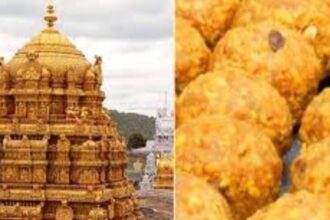 ತಿರುಪತಿ –  ತಿರುಮಲ ವೆಂಕಟೇಶ್ವರ ಸ್ವಾಮಿಯ ಪ್ರಾಣಿ ಕೊಬ್ಬಿನ ಲಡ್ಡು ಅಥವಾ ಲಡ್ಡು ಒಳಗಿನ ಕೊಬ್ಬು…..