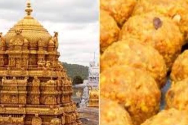 ತಿರುಪತಿ ಲಡ್ದುಗೆ ಗೋಮಾಂಸದ ಕೊಬ್ಬು, ಮೀನಿನ ಎಣ್ಣೆ ಬಳಕೆ