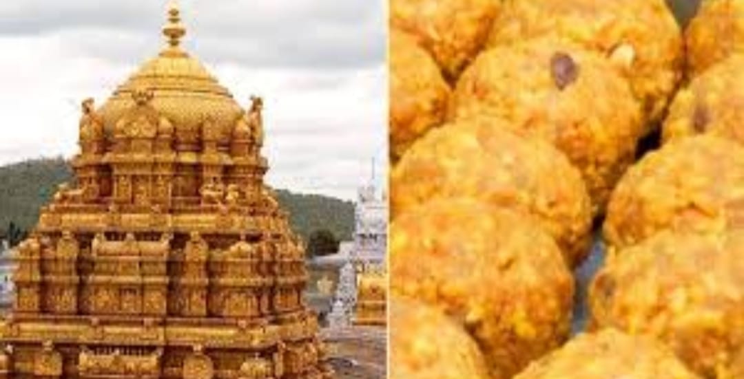 ತಿರುಪತಿ –  ತಿರುಮಲ ವೆಂಕಟೇಶ್ವರ ಸ್ವಾಮಿಯ ಪ್ರಾಣಿ ಕೊಬ್ಬಿನ ಲಡ್ಡು ಅಥವಾ ಲಡ್ಡು ಒಳಗಿನ ಕೊಬ್ಬು…..