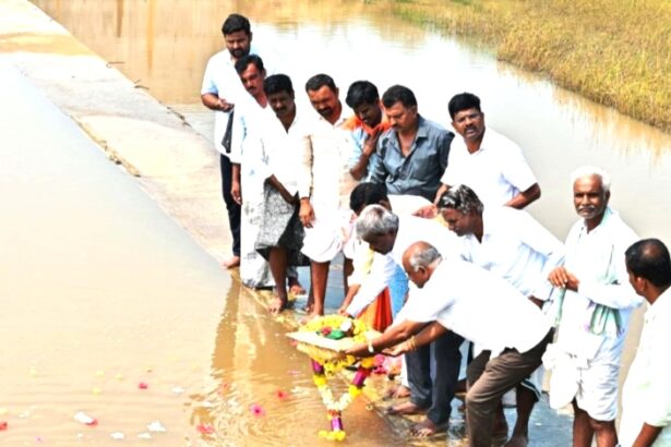 ರೈತರ ಅಡಿಕೆ ತೋಟ ಉಳಿಸಲು 493 ಹಳ್ಳಿಗಳಲ್ಲಿ ಕೆರೆ, ಕಟ್ಟೆ, ಚೆಕ್‌ ಡ್ಯಾಂಗಳ ನಿರ್ಮಾಣ-ಚಂದ್ರಪ್ಪ