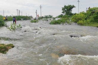 50 ವರ್ಷಗಳ ನಂತರ ಕೋಡಿ ಬಿದ್ದ ಹುಲಿಕೆರೆಯ ಕೆರೆ