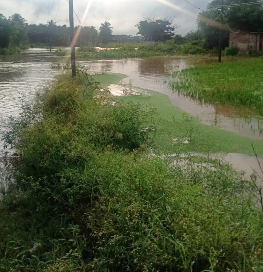 ತಾಲ್ಲೂಕಿನಾದ್ಯಂತ ಬಿರುಸಿನ ಮಳೆ