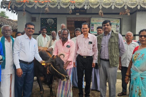 ಜಾನುವಾರುಗಳಿಗೆ ತಪ್ಪದೇ ಲಸಿಕೆ ಹಾಕಿಸಿ-ಜಿಪಂ ಸಿಇಓ ಸೋಮಶೇಖರ್