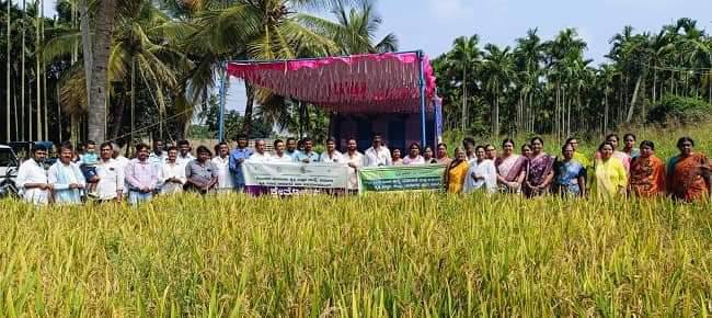 ಕಡಿಮೆ ನೀರು ಬಳಸಿ ಉತ್ತಮ ಇಳುವರಿ ಪಡೆಯುವ ತಂತ್ರಜ್ಞಾನದ ಪ್ರಾತ್ಯಕ್ಷಿಕೆ