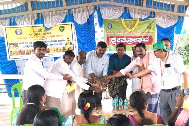 ಮಣ್ಣಿನ ಫಲವತ್ತತೆ ಹೆಚ್ಚಿಸಲು ಹಸಿರೆಲೆಗೊಬ್ಬರ ಅವಶ್ಯಕ