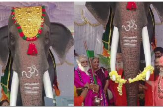 ರೋಬೋಟಿಕ್ ಆನೆ ಕೊಡುಗೆ ನೀಡಿದ ಬಾಲಿವುಡ್​ ನಟಿ ಶಿಲ್ಪಾ ಶೆಟ್ಟಿ