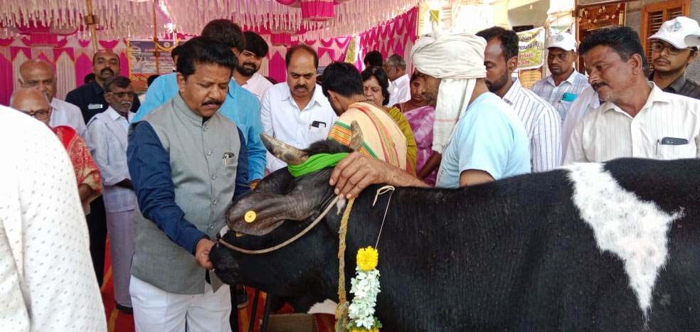 ರೈತರು ಹೈನುಗಾರಿಕೆ ಮೂಲಕ ಆರ್ಥಿಕ ಸದೃಢ-ಶಾಸಕ ಟಿ.ರಘುಮೂರ್ತಿ