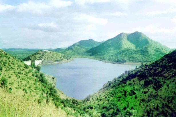 ವಾಣಿ ವಿಲಾಸ ಸಾಗರಕ್ಕೆ ಮಂಗಳವಾರ ನೀರಿನ ಒಳ ಹರಿವು ಎಷ್ಟು