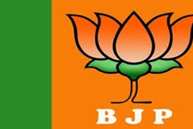 ಗರ್ಭ ಧರಿಸಿದ ಹಸುಗಳಿಗೂ ರಕ್ಷಣೆಯಿಲ್ಲ!!