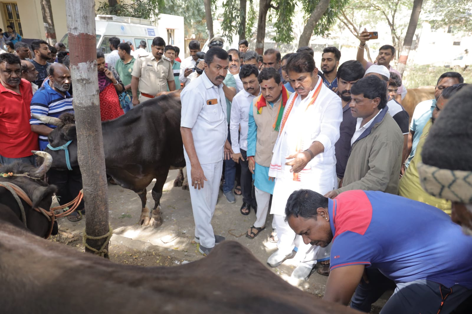 ಬ್ಲೇಡ್‌ನಿಂದ ಗೋಮಾತೆಯ ಕೆಚ್ಚಲು ಕೊಯ್ದು ವಿಕೃತಿ ಮೆರೆದ ಕಿಡಿಗೇಡಿಗಳು