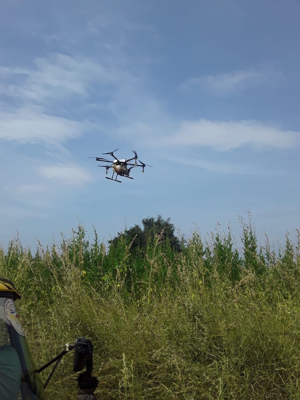 ಕಳಪೆ ತೊಗರಿ ಬಿತ್ತನೆ ಬೀಜ ಹಾಕಿ ಅಪಾರ ನಷ್ಟ ಅನುಭವಿಸಿದ ರೈತರು