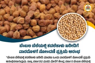 ಚಿತ್ರದುರ್ಗ, ಬಳ್ಳಾರಿ, ದಾವಣಗೆರೆ ಸೇರಿ 13 ಜಿಲ್ಲೆಗಳಲ್ಲಿ ಬೆಂಬಲ ಬೆಲೆಯಲ್ಲಿ ಕಡಲೆಕಾಳು ಖರೀದಿ