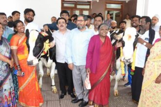 ಮೂರು ಹಸುಗಳನ್ನು ಕೊಡಿಸಿದ ಸಚಿವ ಜಮೀರ್ ಅಹಮದ್
