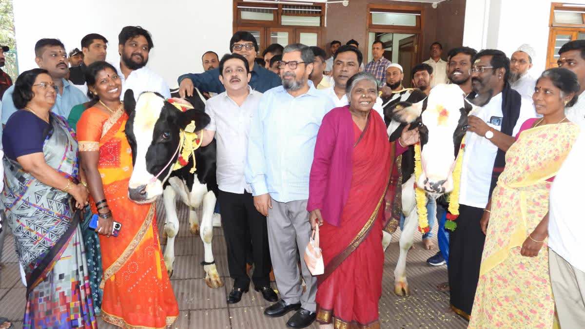 ಮೂರು ಹಸುಗಳನ್ನು ಕೊಡಿಸಿದ ಸಚಿವ ಜಮೀರ್ ಅಹಮದ್