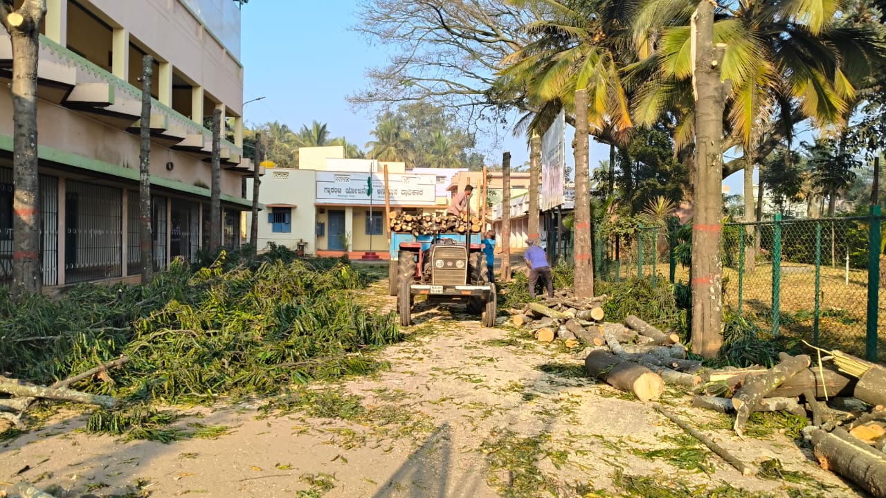 ಇರುವೆ ಕಾಟಕ್ಕೆ ಮರಗಳ ಮಾರಣ ಹೋಮ ಮಾಡಿದ ಭೂಪರು