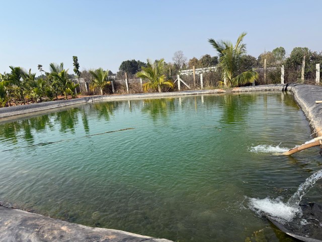 ಕೃಷಿ ಹೊಂಡದಲ್ಲಿ ಈಜಲು ಹೋದ ಬಾಲಕ ಸಾವು