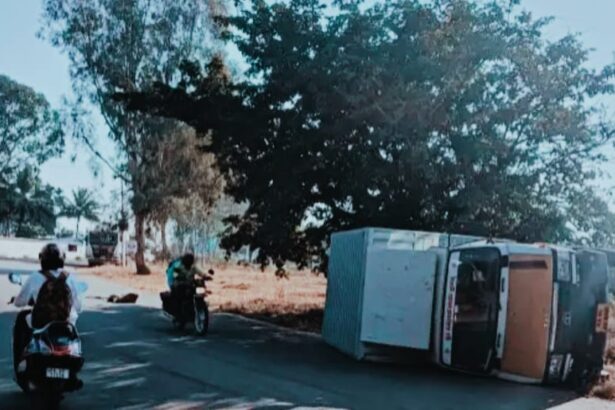 ಅರಳುಮಲ್ಲಿಗೆ ಬಳಿ ಗೂಡ್ಸ್ ವಾಹನ ಅಪಘಾತ