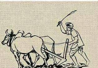 ತುಮಕೂರು ಜಿಲ್ಲೆಯ ರೈತರ ಮಕ್ಕಳಿಗೆ ತೋಟಗಾರಿಕೆ ತರಬೇತಿಗೆ ಅರ್ಜಿ ಆಹ್ವಾನ