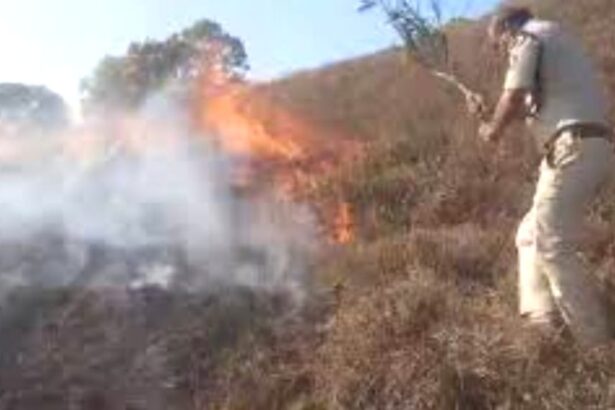 ಅರಣ್ಯ ಬೆಂಕಿ ತಡೆಗೆ ಡ್ರೋನ್ ಕಣ್ಗಾವಲು