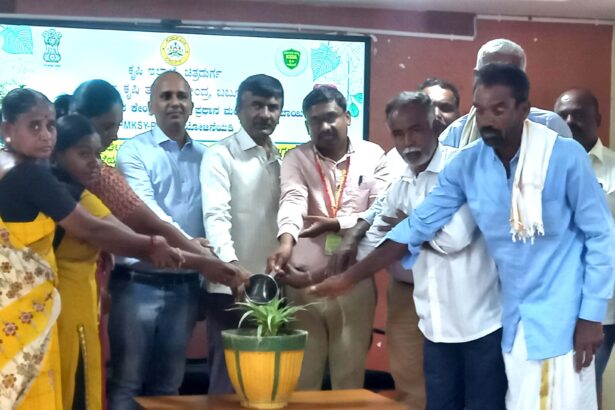 ಸೇವಂತಿಗೆ ಸುಧಾರಿತ ಬೇಸಾಯ, ನೀರಿನ ಸದ್ಬಳಕೆ ಕ್ರಮ