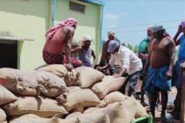 ಬೆಂಬಲ ಬೆಲೆಯಲ್ಲಿ ರಾಗಿ ಖರೀದಿ ಪ್ರಕ್ರಿಯೆ ಪ್ರಾರಂಭ