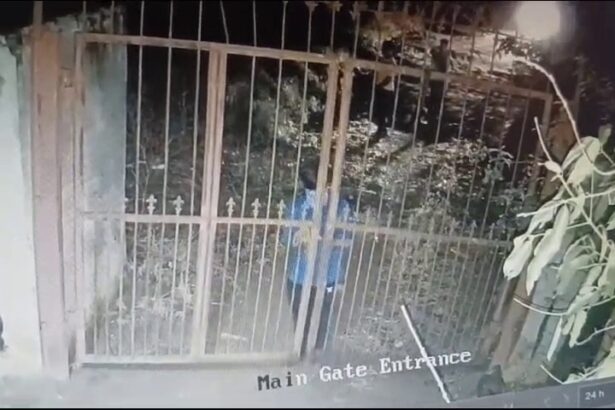 ಅದೇ ಶೆಡ್ ನಲ್ಲಿ ಮತ್ತೆ ಹಂದಿಗಳ ಕಳ್ಳತನ