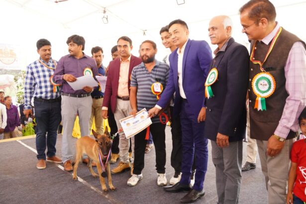 ಹಂಪಿ ಉತ್ಸವದಲ್ಲಿ ಆಕರ್ಷಕ ಶ್ವಾನ ಪ್ರದರ್ಶನ