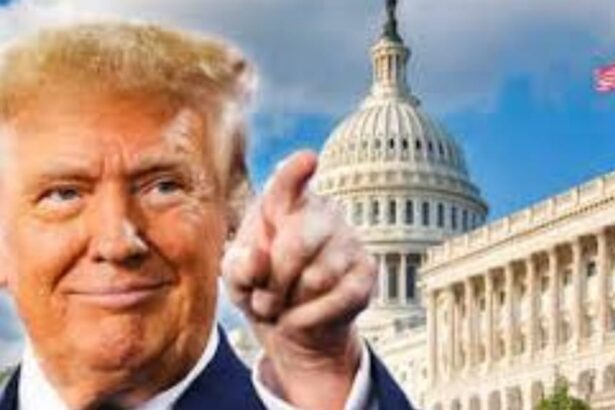 ಅಮೆರಿಕ ಮತ್ತು ಡೊನಾಲ್ಡ್ ಟ್ರಂಪ್…….