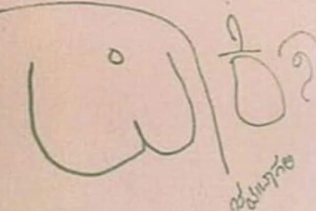 ಬಿಡದಿಗೂ ತಲುಪಿದ ಪಾಕಿಸ್ತಾನ್ ಜಿಂದಾಬಾದ್ ಕೂಗು