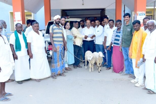 ಕುರಿಗಾಯಿಗಳಿಗೆ ಬಂದೂಕು ತರಬೇತಿ ನೀಡಿ