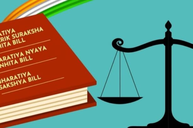 ರಾಜಕೀಯ ಮತ್ತು ಆಡಳಿತದಲ್ಲಿ ವಕೀಲಿಕೆ ಎಂಬ ವಾದ ಪ್ರತಿವಾದಗಳ ಮಂಕುಬೂದಿ