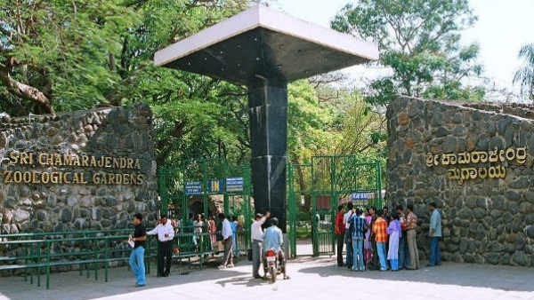 ಮೃಗಾಲಯ ಹಾಗೂ ಕಾರಂಜಿ ಕೆರೆ ಪ್ರಕೃತಿ ಉದ್ಯಾನ ಅಕ್ಟೋಬರ್ 21 ರಂದು ಸಾರ್ವಜನಿಕರ ವೀಕ್ಷಣೆ