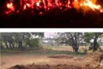 ಬೆಂಕಿ ಕೆನ್ನಾಲಿಗೆಗೆ ಮೆಕ್ಕೆಜೋಳ, ರಾಗಿ, ಶೇಂಗಾ ಹೊಟ್ಟಿನ ಬಣವಿ ಭಸ್ಮ