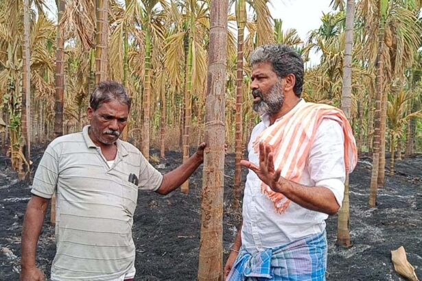 ಆಕಸ್ಮಿಕ ಬೆಂಕಿ ಅಡಿಕೆ, ತೆಂಗು ಸಂಪೂರ್ಣ ಭಸ್ಮ: ೧೦ಲಕ್ಷಕ್ಕೂ ಹೆಚ್ಚು ನಷ್ಟ