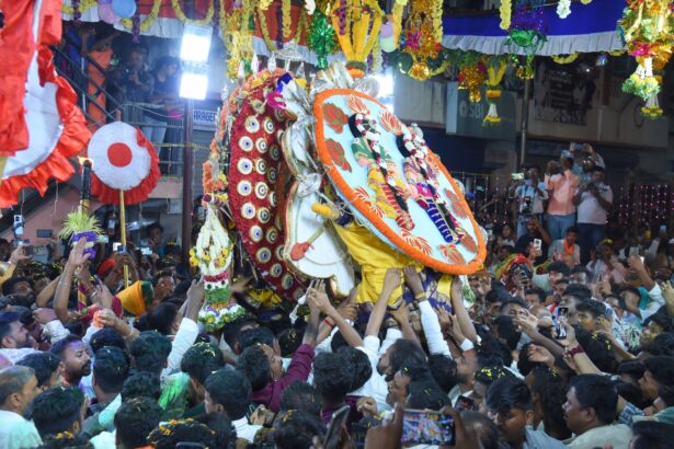 ಸಹೋದರಿಯರ ಅದ್ಭುತ ಭೇಟಿ ಸಂಭ್ರಮ