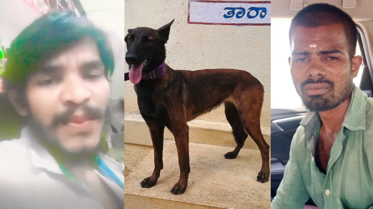 ಪತ್ನಿಯೊಂದಿಗೆ ಅಕ್ರಮ ಸಂಬಂಧ ಹೊಂದಿದ್ದ ವ್ಯಕ್ತಿಯ ಕೊಲೆಗಾರನ ಪತ್ತೆ ಮಾಡಿದ ಶ್ವಾನ