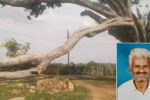 ಬಿರುಗಾಳಿಗೆ ಮರದ ಕೊಂಬೆ ಮುರಿದು ವ್ಯಕ್ತಿ ಸಾವು