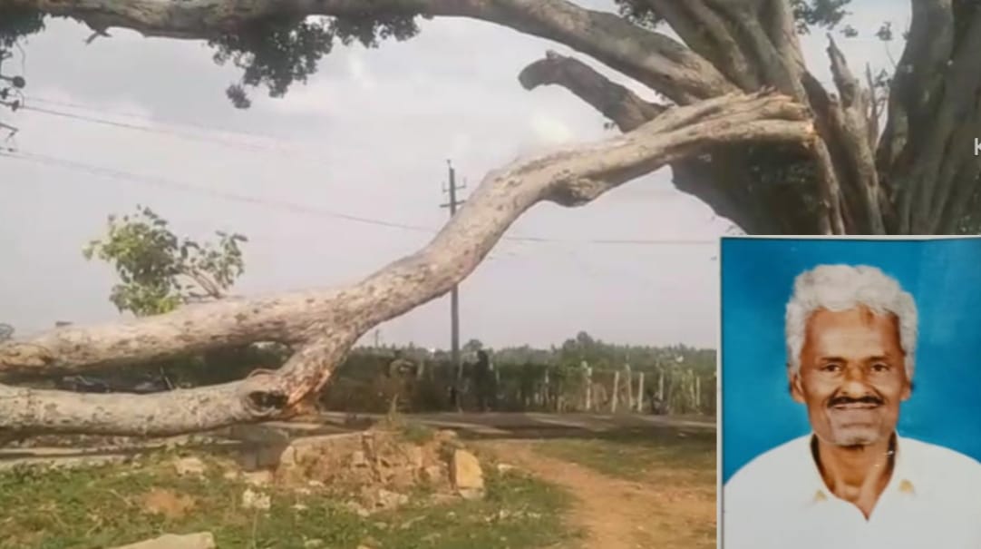 ಬಿರುಗಾಳಿಗೆ ಮರದ ಕೊಂಬೆ ಮುರಿದು ವ್ಯಕ್ತಿ ಸಾವು