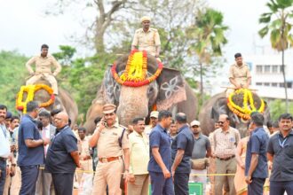 ಮಾನವ ಆನೆ ಸಂಘರ್ಷ ತಡೆಗಟ್ಟಲು ಅಕ್ಕ ಪಕ್ಕದ ರಾಜ್ಯಗಳ ಸಹಕಾರ ಅಗತ್ಯ: ಸಿಎಂ