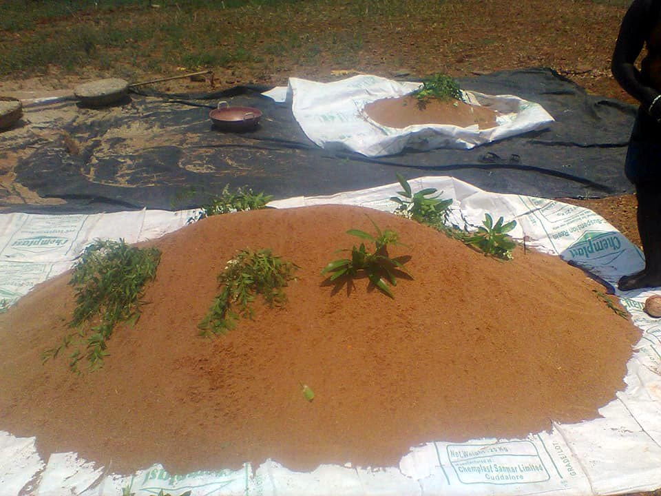ದೇಸಿ ತಳಿಗಳ ಸಂರಕ್ಷಣೆ ಮತ್ತು ಉತ್ತೇಜನ ಕಾರ್ಯಕ್ರಮ